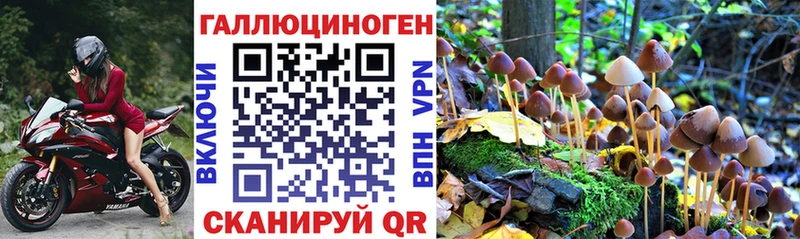 Псилоцибиновые грибы GOLDEN TEACHER  ОМГ ОМГ ONION  Бирюч 